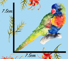 Load image into Gallery viewer, *BACK ORDER* Lorikeets