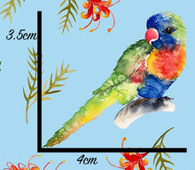 Load image into Gallery viewer, *BACK ORDER* Lorikeets