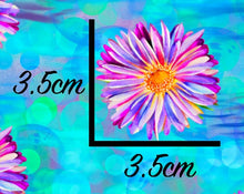 Load image into Gallery viewer, *BACK ORDER* Ever After Designs - Baby Turtles Bubbles with Flowers Co-Ord