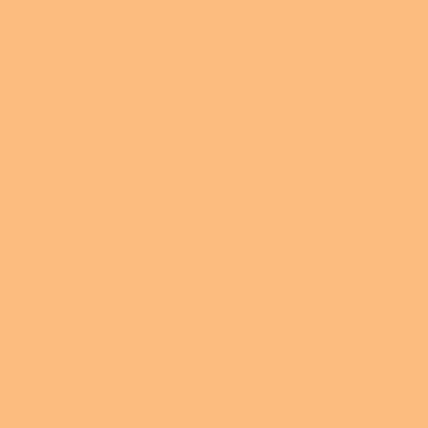*BACK ORDER* Critters Fox Evolution Green Tan