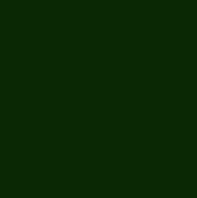 *BACK ORDER* Critters Fox Evolution Green Solid