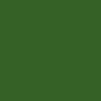*BACK ORDER* Ever After Designs - Dragon Solid Dark Green