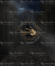 Load image into Gallery viewer, *BACK ORDER* Be Magical - Snitch Panels