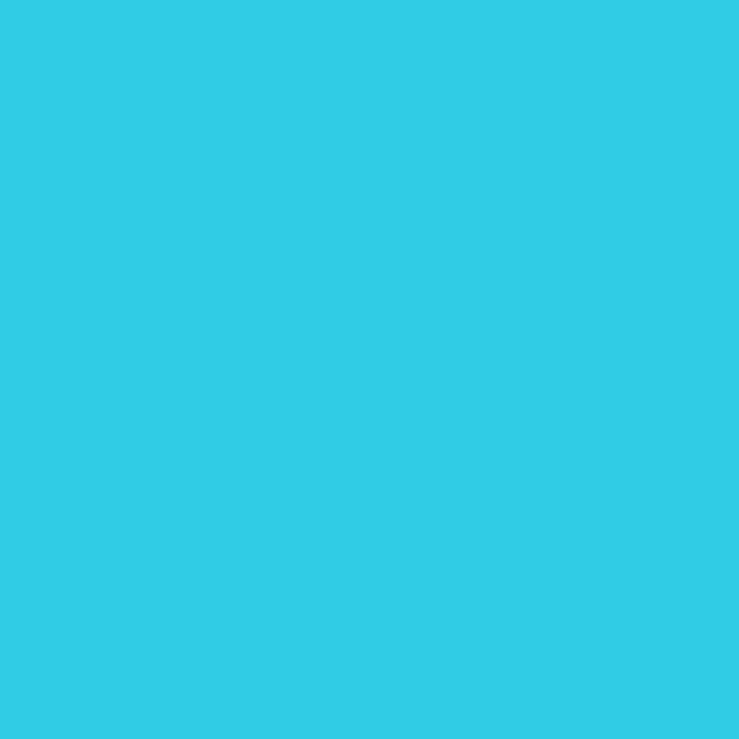 *BACK ORDER* Ever After Designs - Baby Turtles Blue Background