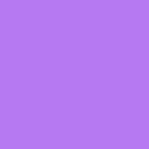 *BACK ORDER* Ever After Designs - Baby Turtles Purple Background